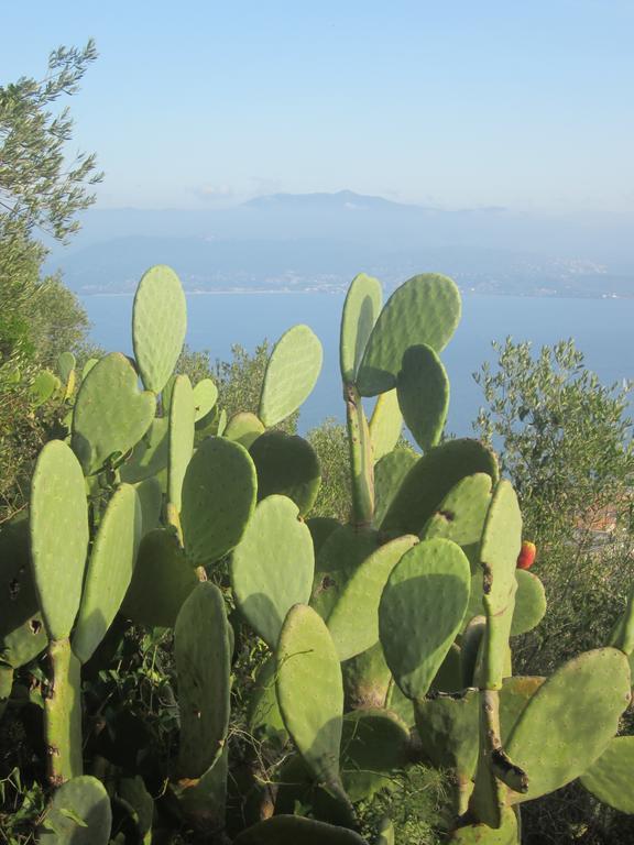 Vue Ajaccio (Corsica)